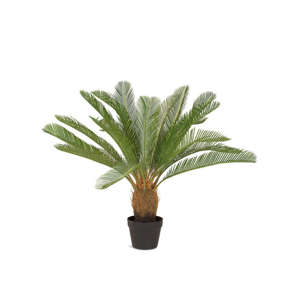 Cycas Palme BRAUN/GRÜN - B80cm*T80cm*H155cm