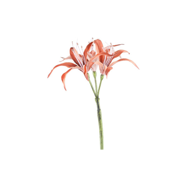 Blume Nerine ZIMT 83cm