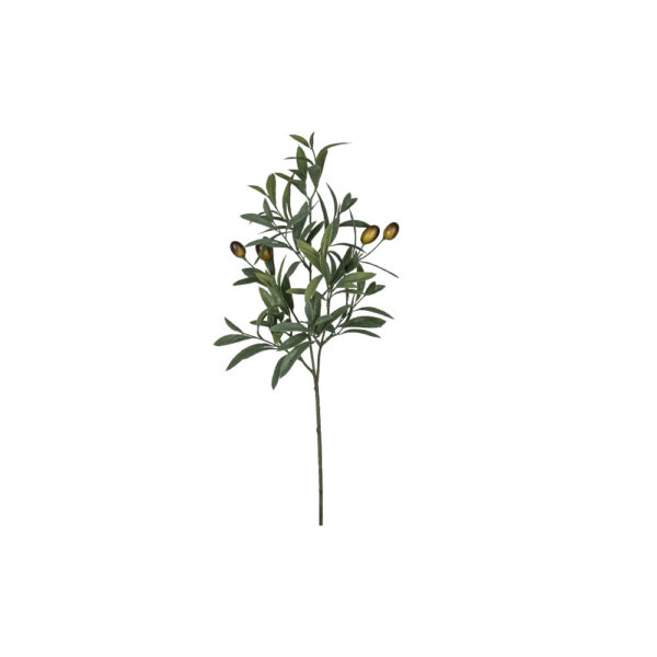 Olivenzweig GRÜN, 56cm